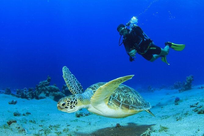 Discover Scuba Diving & Beach Club with Transportation In Riviera Maya - Maroma Beach Gives You More Than a Meeting Point