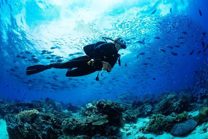 Discover Scuba Diving & Beach Club with Transportation In Riviera Maya - Why the Guides Matter for Nervous Beginners