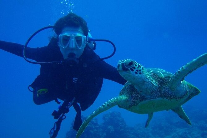 Discover Scuba Diving & Beach Club with Transportation In Riviera Maya - What to Bring and What to Expect