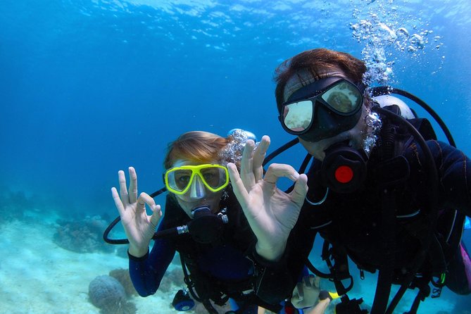 Discover Scuba Diving & Beach Club with Transportation In Riviera Maya - What the Equipment Package Covers