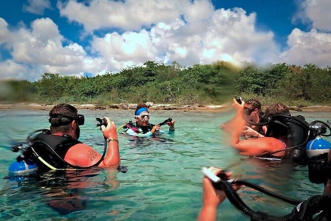 Discover Scuba Diving in Cozumel Paradise Reef - What the first Paradise Reef session is like