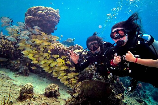 Discover Scuba Diving in Cozumel Paradise Reef - The 30-minute break between sessions
