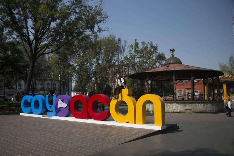 Discover Xochimilco and Coyoacán: Tradition, Music, Culture - Who should book this day trip?