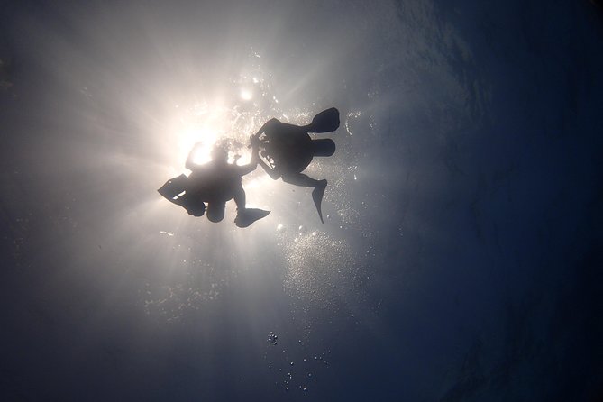 Diving in the Mexican Caribbean for Beginners | 2 Tanks 2 Dives | All Inclusive - MUSA: 400 sculptures at 33 feet
