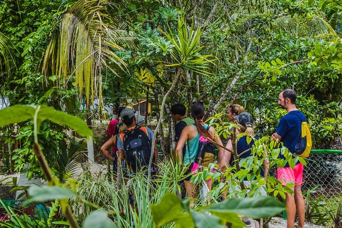 E-Bike Adventure in Cozumel - West Side Ride N' Snorkel - Food, drinks, and the return ride