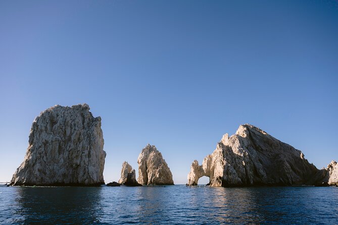 Educational Sunrise Whale Watching with Photos Included - Who will enjoy this experience most