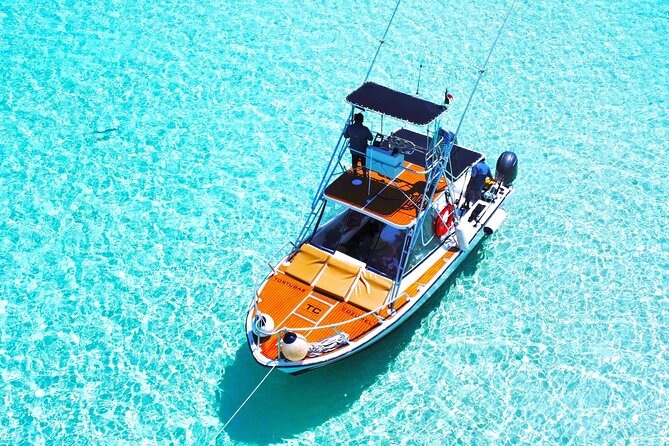 El Cielo Snorkel by Private Boat - Chankanaab Reef: your first underwater look