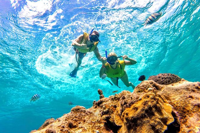 El Cielo Snorkel by Private Boat - Paradise Reef and the search for sea life