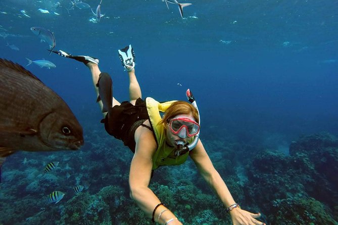 El Cielo Snorkel by Private Boat - Ceviche, fruit, and margaritas between swims