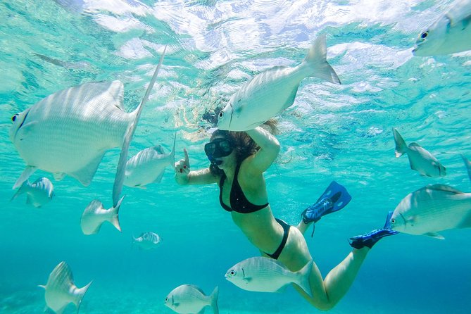 El Cielo Snorkel by Private Boat - The boat ride along Cozumel’s coast