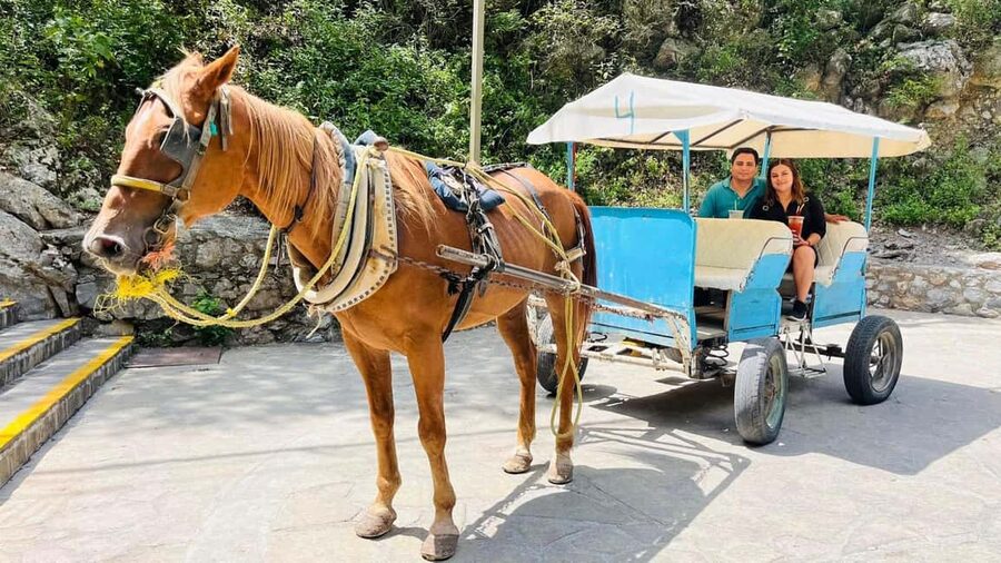 El mejor Tour a "Cola de Caballo" + Guía + Traslado +Tickets - Santiago, the Magical Town