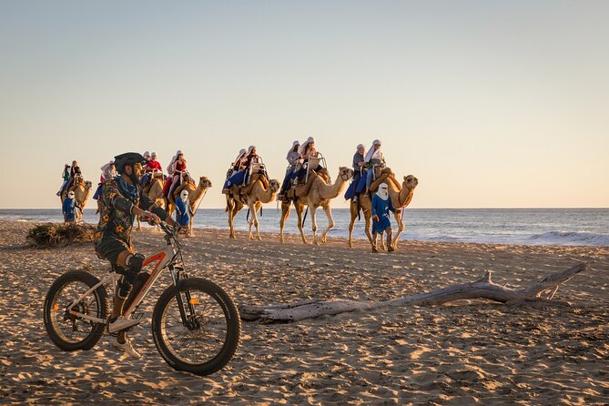 Electric Bike and Beach Camel Ride with Mexican Buffet Lunch - Key points at a glance
