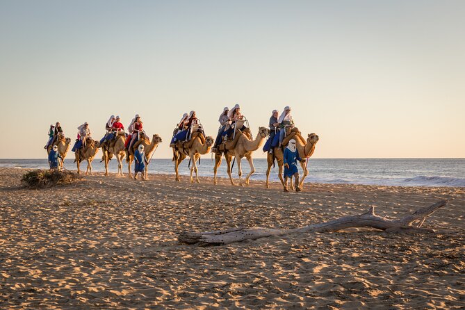 Electric Bike and Beach Camel Ride with Mexican Buffet Lunch - Riding an electric bike through Baja sand and sea air