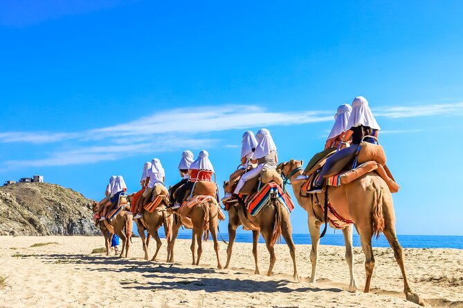 Electric Bike and Beach Camel Ride with Mexican Buffet Lunch - Guides make the difference