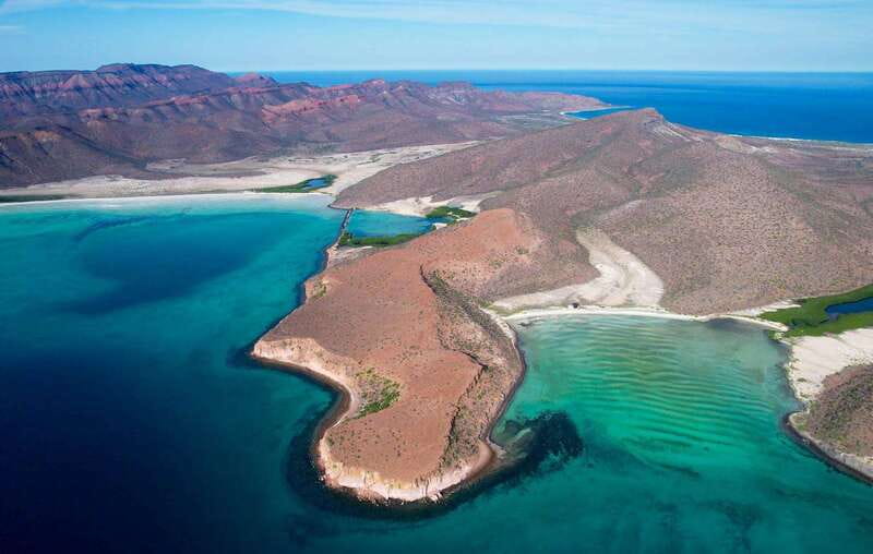 Espiritu Santo Island: Snorkeling Sea Lion Adventure - Snorkeling beside the sea lions at Los Islotes