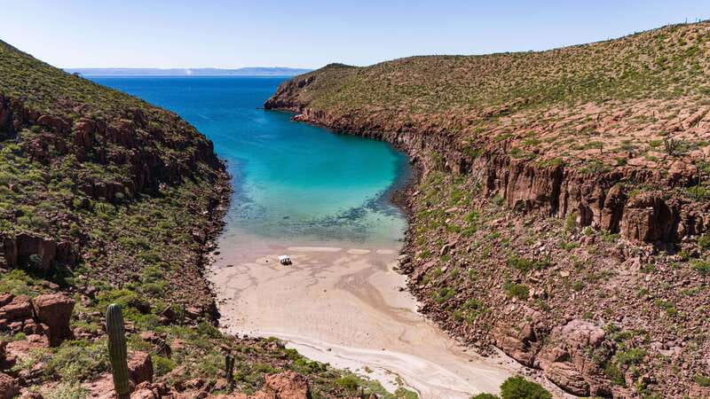 Espiritu Santo Island: Snorkeling Sea Lion Adventure - More than a swim: birds, bays, and pearl-mining history