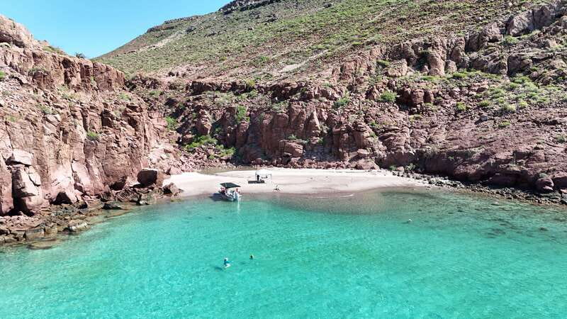 Espiritu Santo Island: Snorkeling Sea Lion Adventure - Safety and wildlife rules