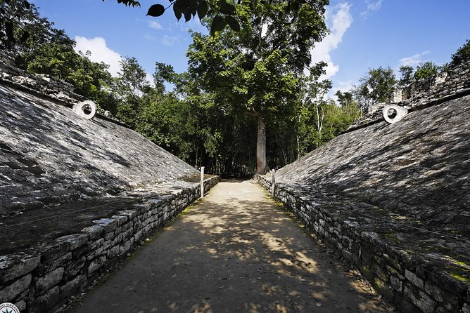 Exclusive Private Tour Tulum & Coba Just for You - The private van, refreshments, and lunch question