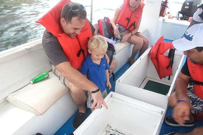 Famous Arch tour with Glass Bottom Boat. - Starting at Cabo San Lucas Marina
