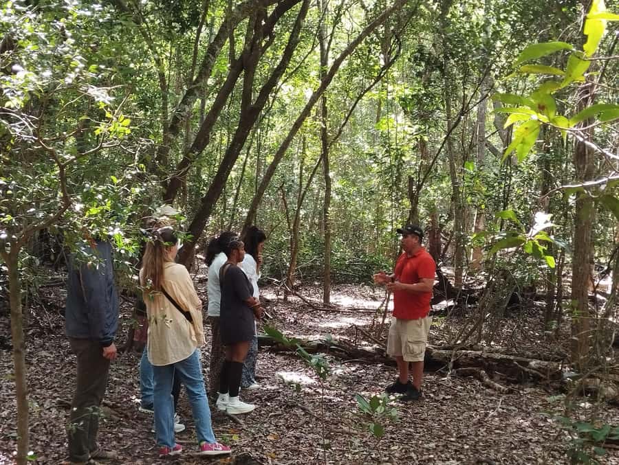From Bacalar: Calakmul Ruins Expedition & Jungle Trek - A short jungle walk with a big purpose