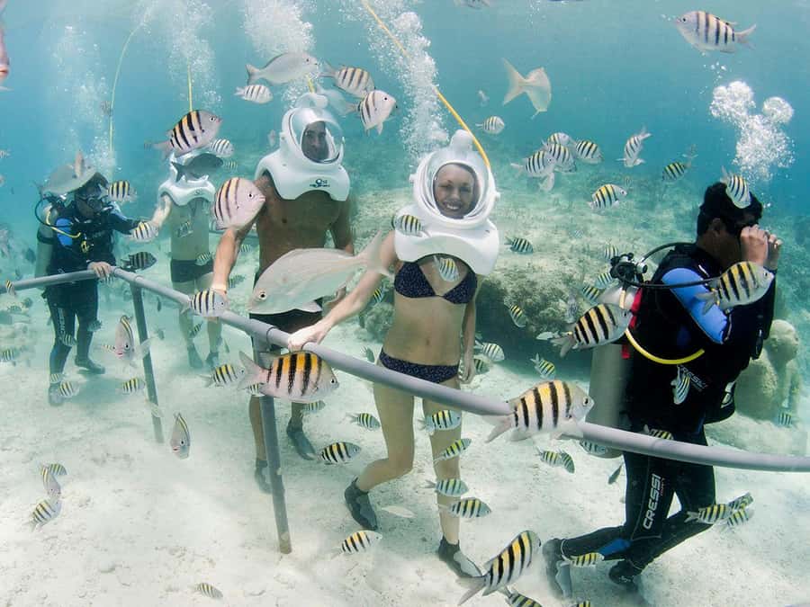 From Cancun: Complete Combo to Xcaret Park! - Beaches, cenotes, and a slower middle of the day