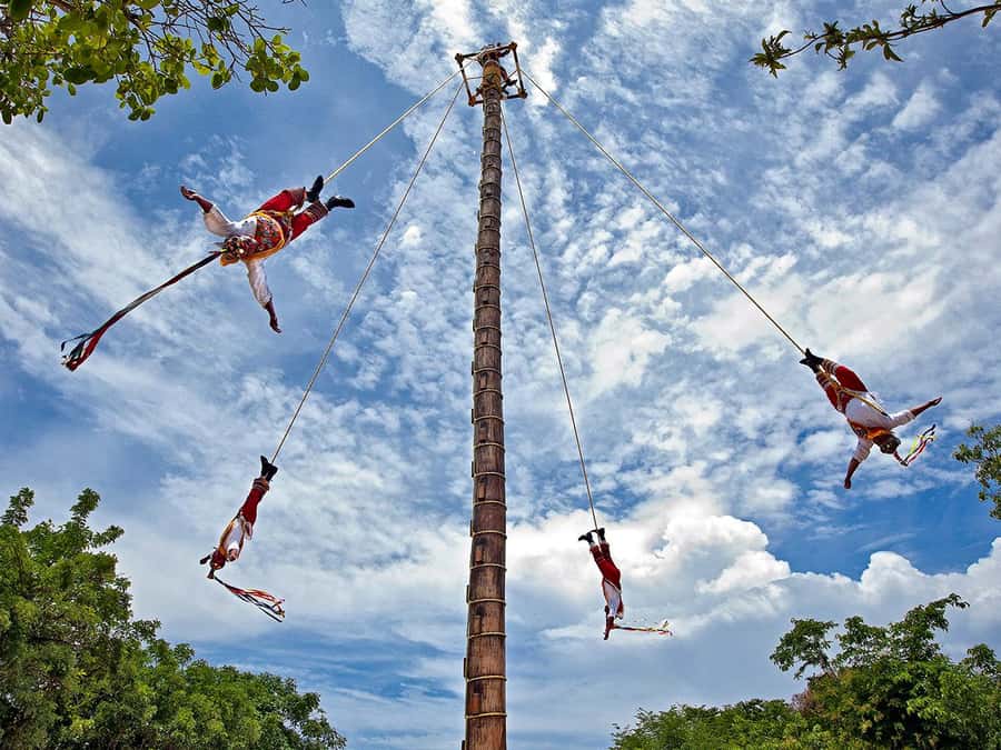 From Cancun: Complete Combo to Xcaret Park! - Choosing the Plus option