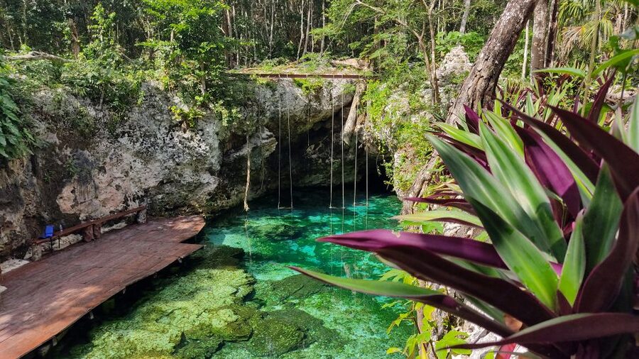 From Cancun: Day Trip to Tulum, Cenote & Playa del Carmen - Who should book this full-day outing?