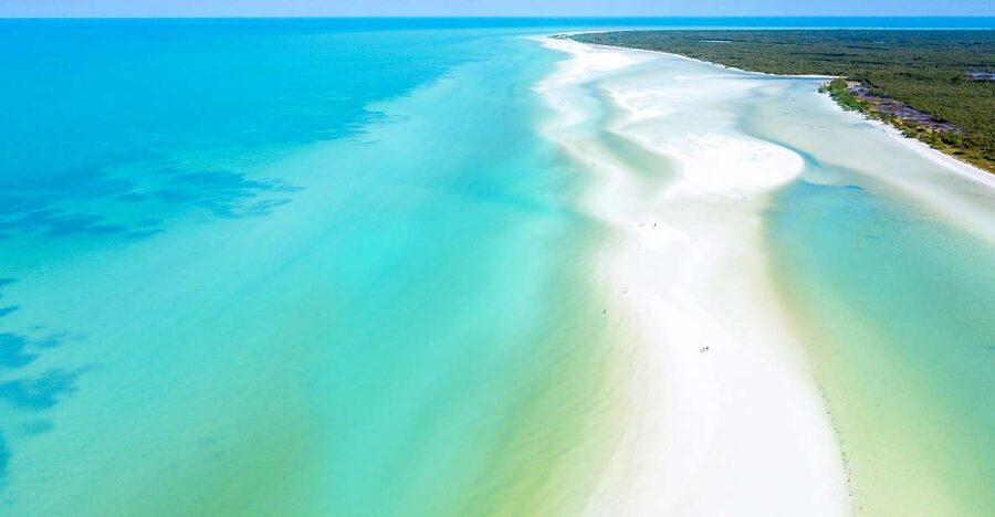 From Cancun or Puerto Morelos: Holbox Boat Tour with Lunch - Key points to know before booking