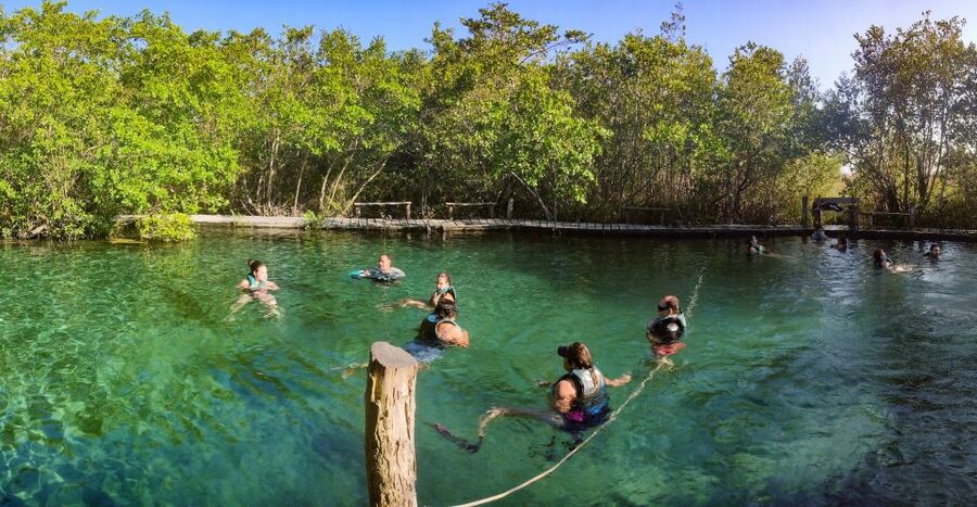 From Cancun or Puerto Morelos: Holbox Boat Tour with Lunch - The long road from Cancun or Puerto Morelos