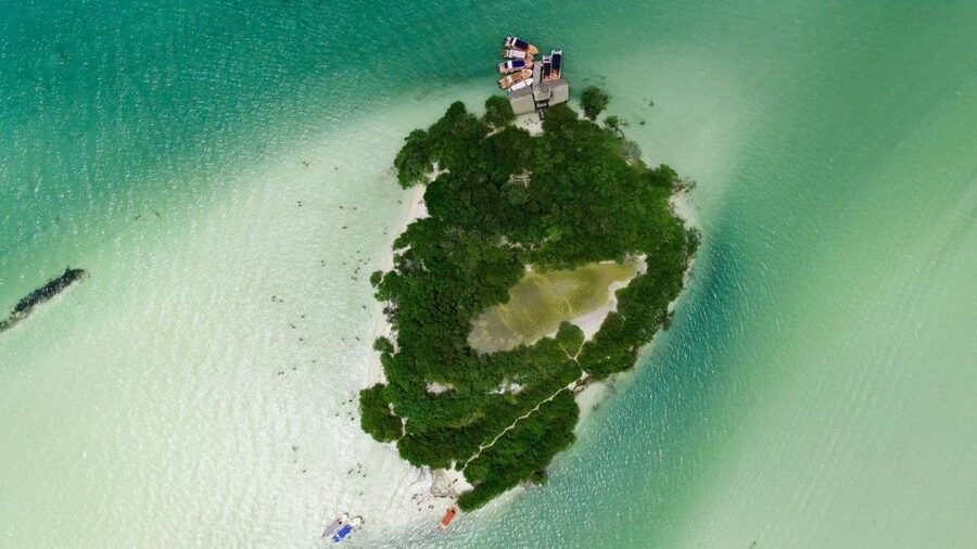 From Cancun or Puerto Morelos: Holbox Boat Tour with Lunch - What the $104 price really covers