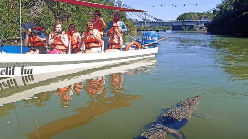 From Cancún: Rio Lagartos & Las Coloradas Day Trip & Lunch - The Mayan clay bath and the beach rinse