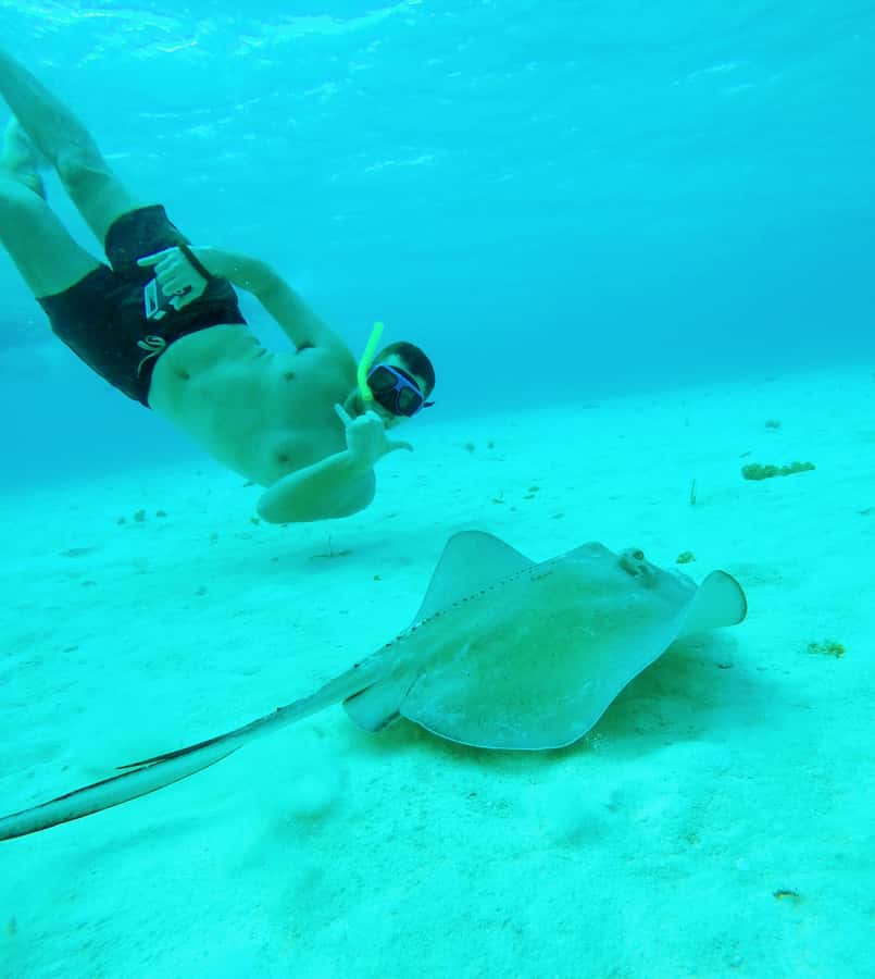 From Cozumel: Starfish, Stingrays and the Turtle Sanctuary - The boat ride and first stop near Playa Palancar