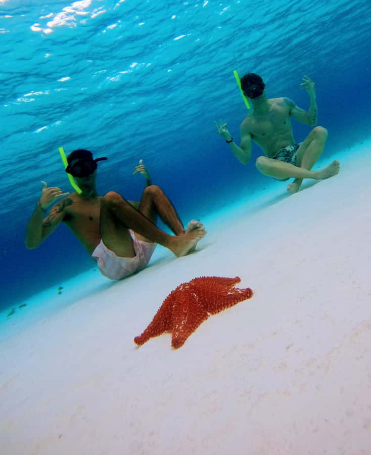 From Cozumel: Starfish, Stingrays and the Turtle Sanctuary - Food, drinks, and the easygoing finish