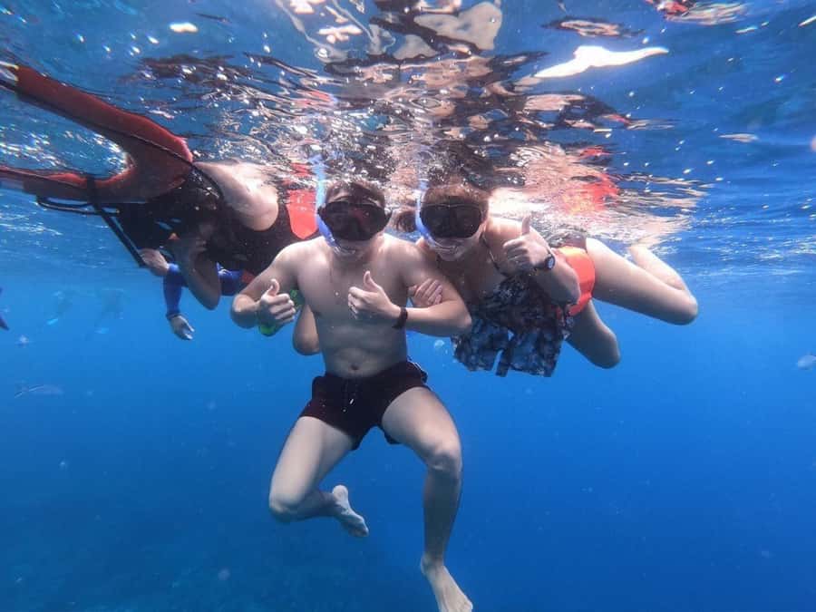 From Cozumel: Starfish, Stingrays and the Turtle Sanctuary - Is $52 a good value?