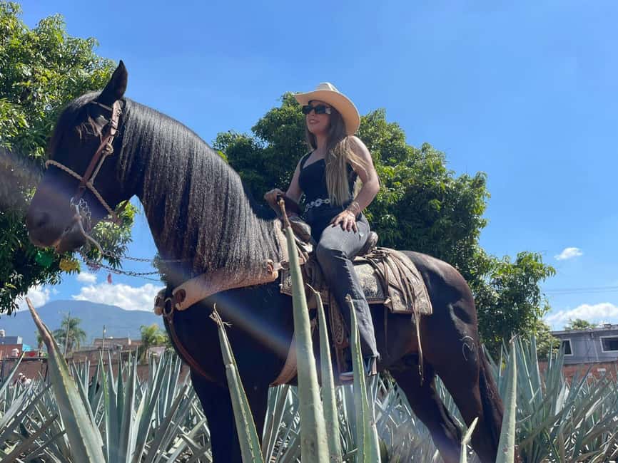 From Guadalajara: Tequila Town and Cantaritos El Guero - Amatitán and the agave-field photo stop