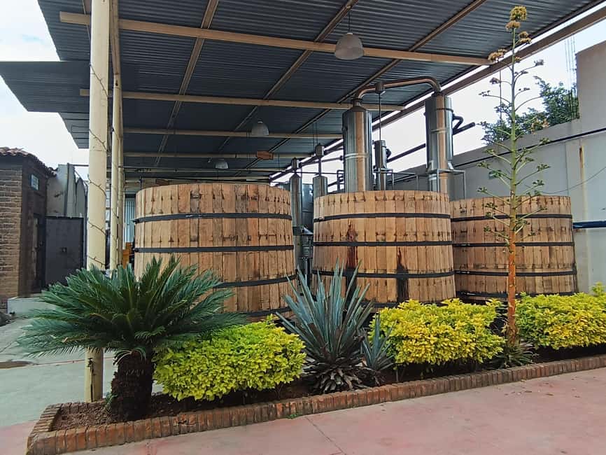 From Guadalajara: Tequila Town and Cantaritos El Guero - Language, timing, and practical details