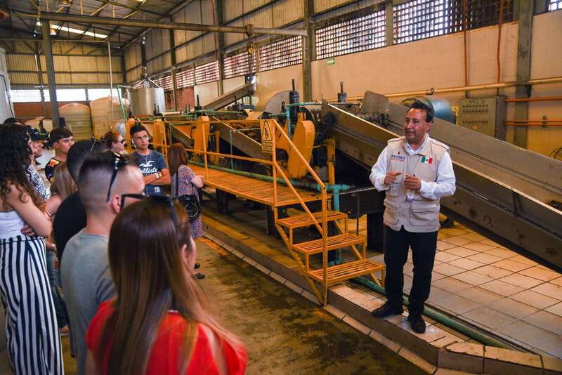 From Guadalajara: Tequila Trail Tour with Tasting - Amatitán’s traditional distillery