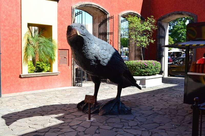 From Guadalajara: Town of Tequila & Jose Cuervo Factory Tour - Key points to know before you go