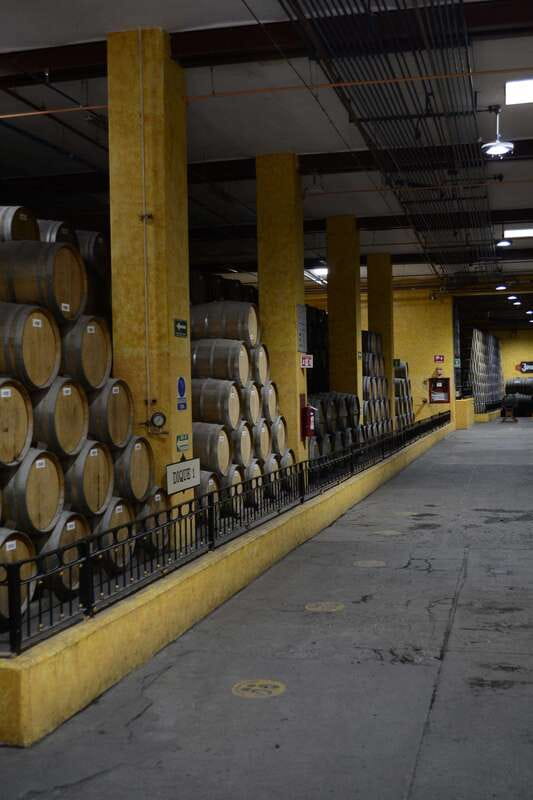 From Guadalajara: Town of Tequila & Jose Cuervo Factory Tour - Who should book this day trip