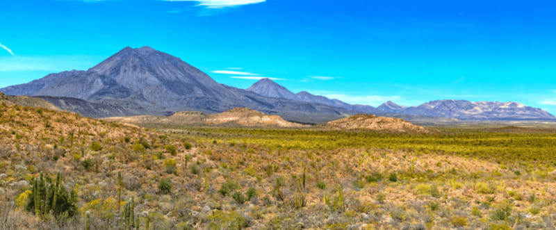 From Los Cabos: City Tour La Paz, Balandra and Todos Santos - Key points to know before booking