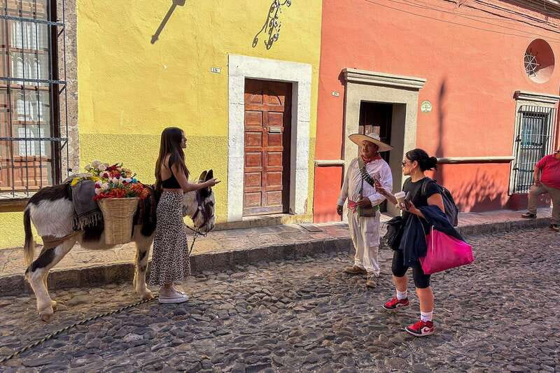 From Mexico City: San Miguel de Allende Day Trip - Key points to know before booking