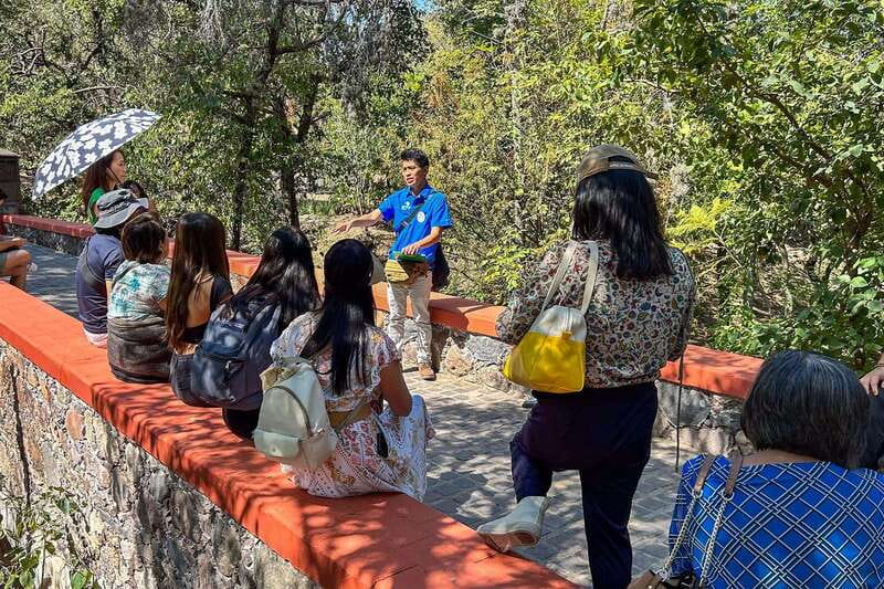 From Mexico City: San Miguel de Allende Day Trip - Who should take this San Miguel day trip?