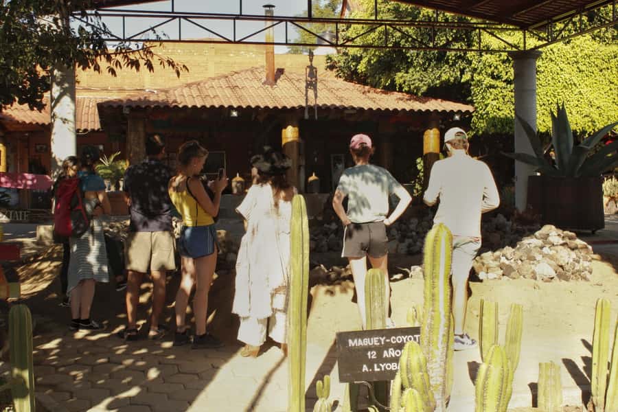 From Oaxaca de Juarez: Hierve el Agua and Mezcal Distillery - The return ride and Oaxaca’s mezcal country