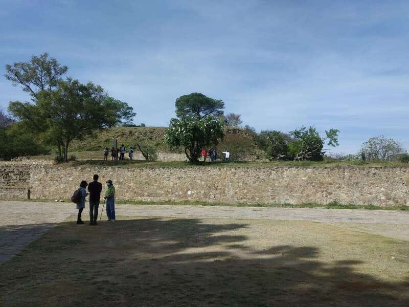 From Oaxaca: Monte Alban, Alebrijes & Black Clay Day Trip - What the $52 price really buys you