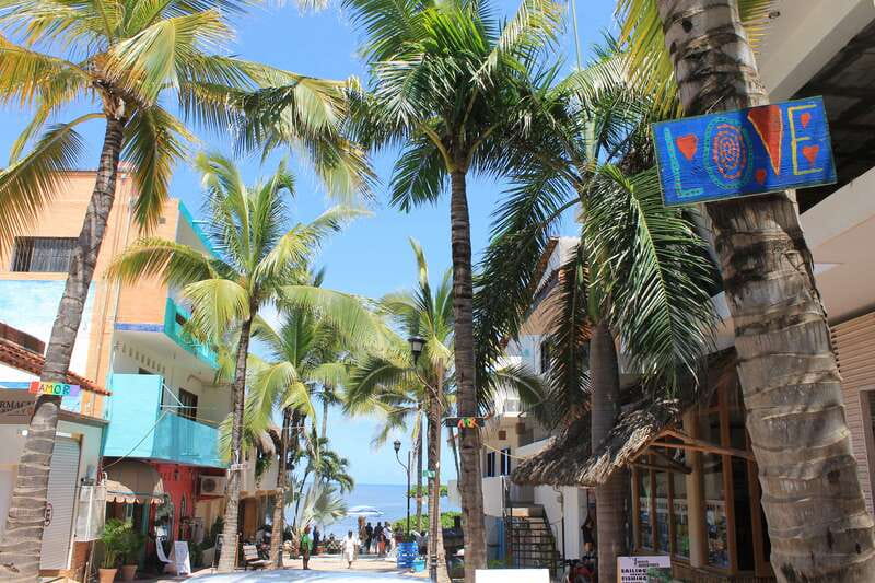 From Puerto Vallarta: San Pancho and Sayulita - Who should book this half-day outing?