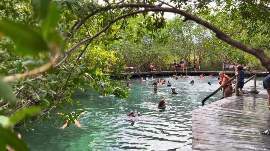 From Riviera Maya: Holbox Full-Day Tour with Lunch - Practical details before you book