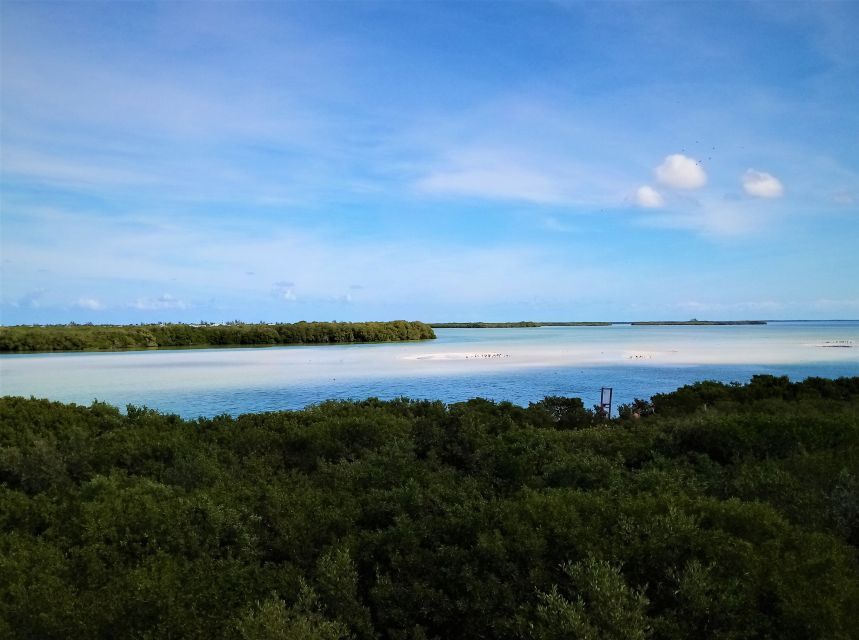 From Riviera Maya: Holbox Full-Day Tour with Lunch - Two hours to explore Holbox town