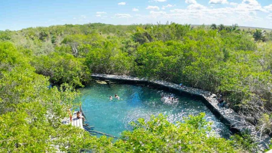 From Riviera Maya: Holbox Full-Day Tour with Lunch - What the $104 price really means