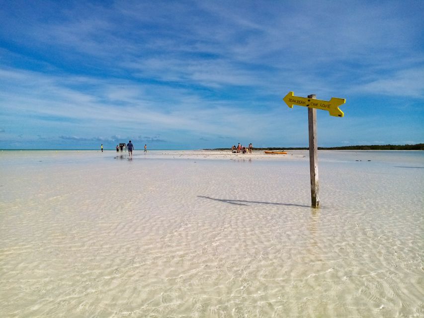 From Riviera Maya: Holbox Full-Day Tour with Lunch - The coach ride and boat transfer