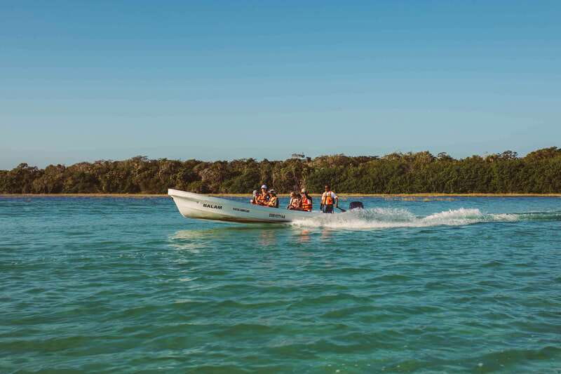 From Riviera Maya: Sian Ka'an Half Day Tour w/ Lunch - Boca Paila Lagoon by small boat